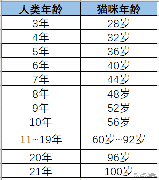 你知道，你家里养的猫咪现在多少岁了呢？