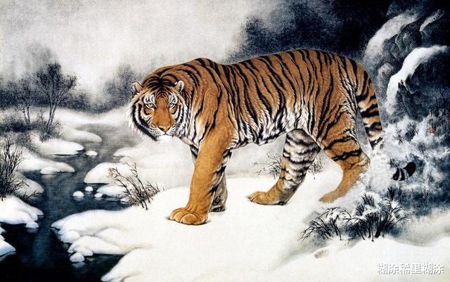 「老虎」为何说“虎生三子,必有一彪”?来看看,彪到底是种怎样的存在
