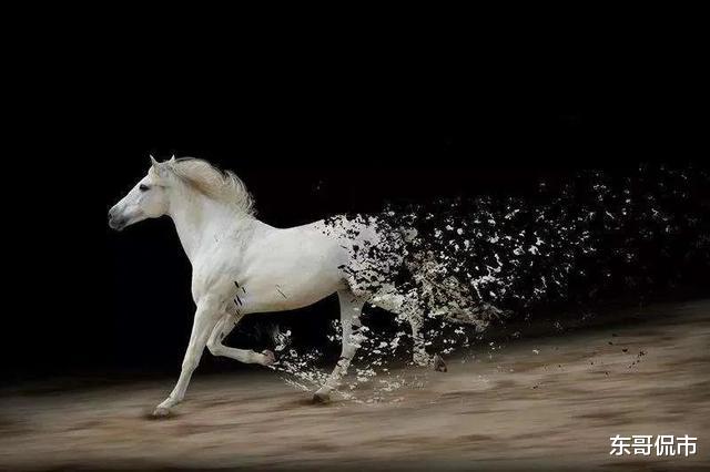 跌停|科技白马带头暴跌，晶方科技、长电科技等跌停，发生了什么？