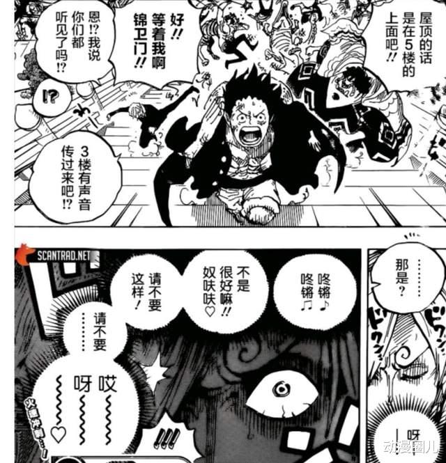 索隆|海贼王997话：索隆一招秒杀阿普再吸粉，山治彻底退出主战地位！