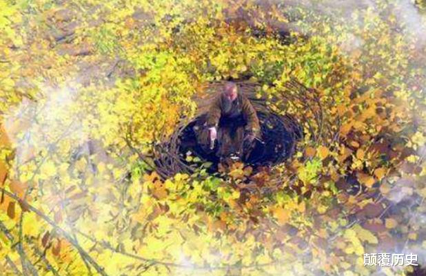 |西游记中隐藏最深的神仙，实力超强，如来都忌惮其三分