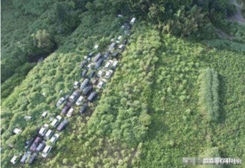 「核辐射」日本核泄漏过后,植物为何变得越来越茂盛?难道它们不怕核辐射?