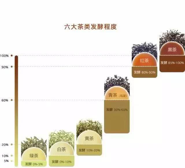 [花茶]六大茶类最全知识，助你成为喝茶高手