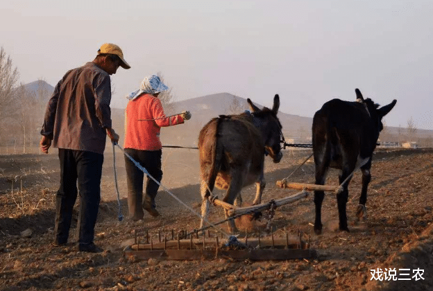 戏说三农|“人地矛盾”愈演愈烈，打乱并重新分地？可能性为0！3点理由！