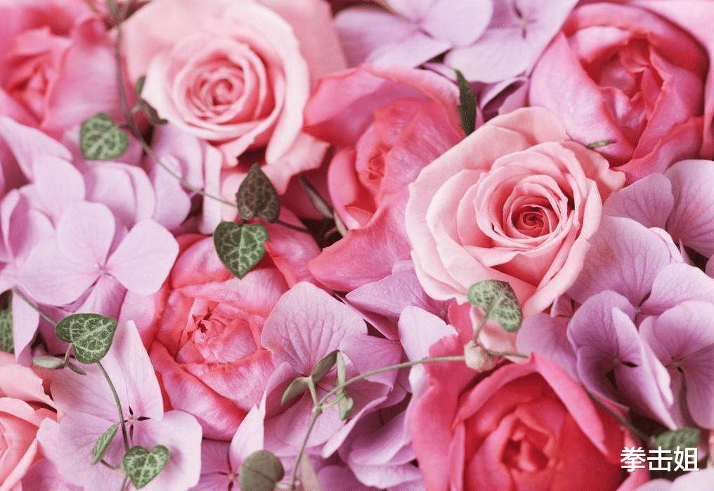 【生肖】六月下旬，财运翻倍，此3生肖逆袭顺利，先人一步赚到钱