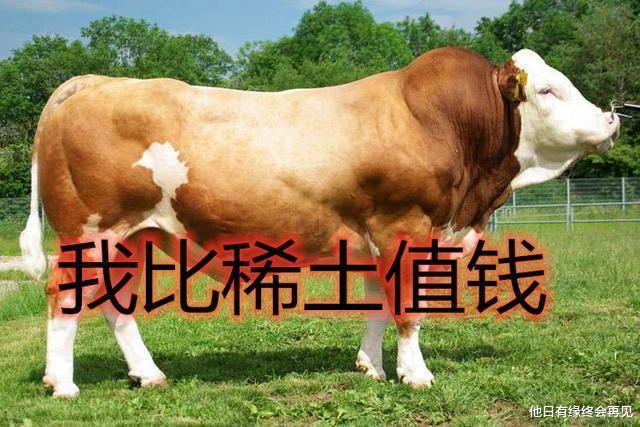 |稀土出口有多廉价？美国用1头牛或者4个苹果手机可买1吨！