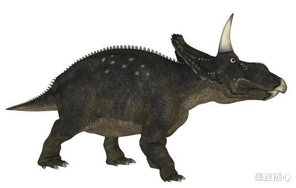 「恐龙灭绝」恐龙灭绝之后, 人类文明却隔了6500万年才出现, 中间地球经历了什么