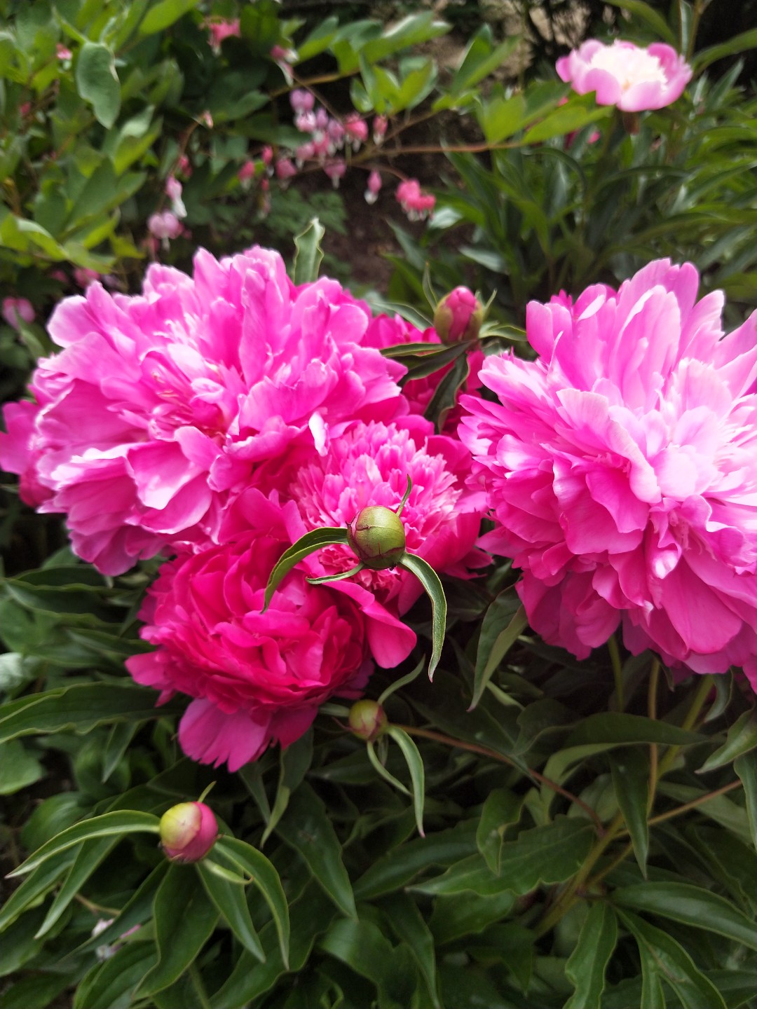 「数学」2020高考数学二轮自主复习方法