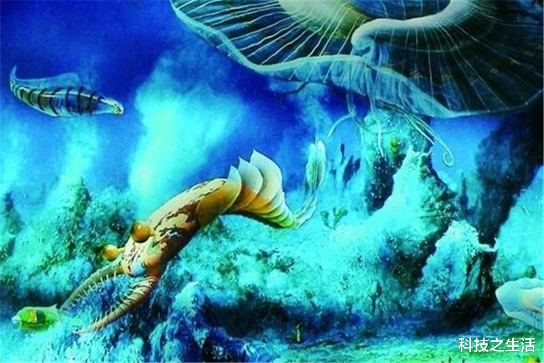 海洋生物|5亿年前的壁画被发现？除非海洋生物会画画，这些画是谁留下的？