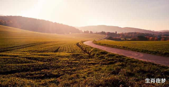 生肖|8月中旬，猝不及防，深情告白，3生肖不再纠结，破镜重圆再相爱