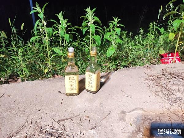 新蔡|男子与父母吵架后投河自尽，其父悔恨要跳河，聊天记录令人心酸