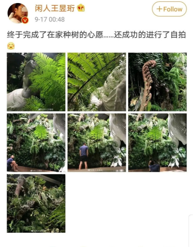 娱你有瓜|《最强大脑》水哥被扒私养国家二级保护植物，专家否定人工繁育