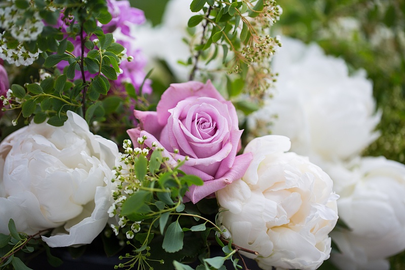 [生肖]日防夜防，家贼难防：属相鸡5月份要“提防”两个人，不是开玩笑！