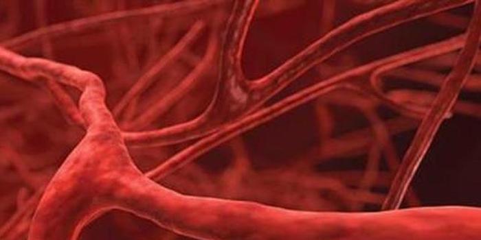 「营养膳食」血管垃圾多易“堵塞”!常吃6种食物,有助清理血液,保护血管