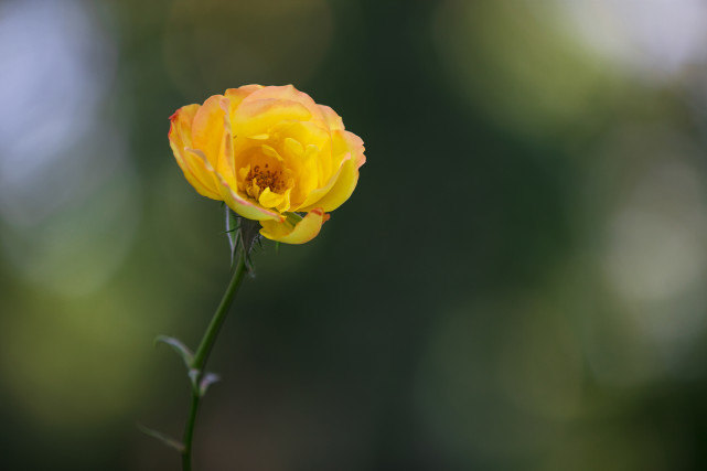 十二星座|职场中，“吸金”能力很强的星座，有贵人相助，注定能成大器