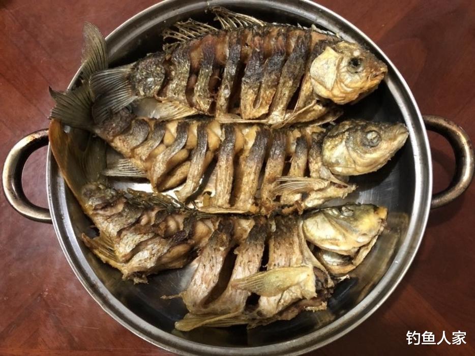 『』长江野钓，自制纯粮食饵料教学，钓获3条长江野生大鱼