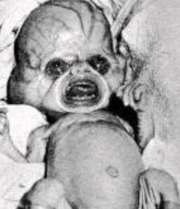 【宇航员】5个女宇航员在太空集体受孕，宝宝是从哪里来的？有什么不同