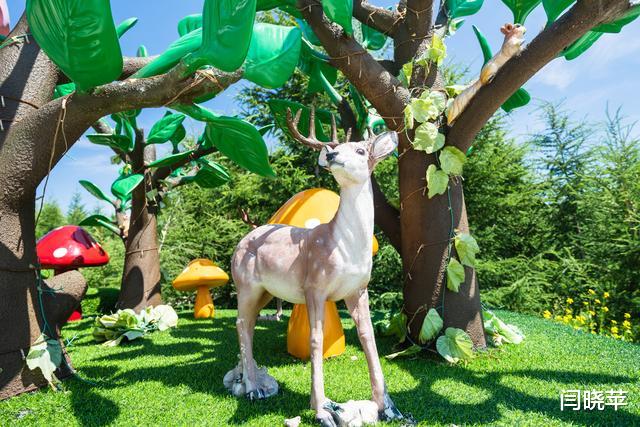 自驾|自驾七彩森林，寻找最美大草原16℃的夏天