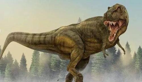 小行星|导致恐龙灭绝的小行星，在地球上留下一个陨石坑，位置在哪里？