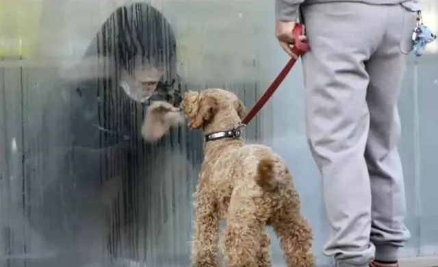 每天阅读|史上最催泪的30张照片，你能坚持到第几张