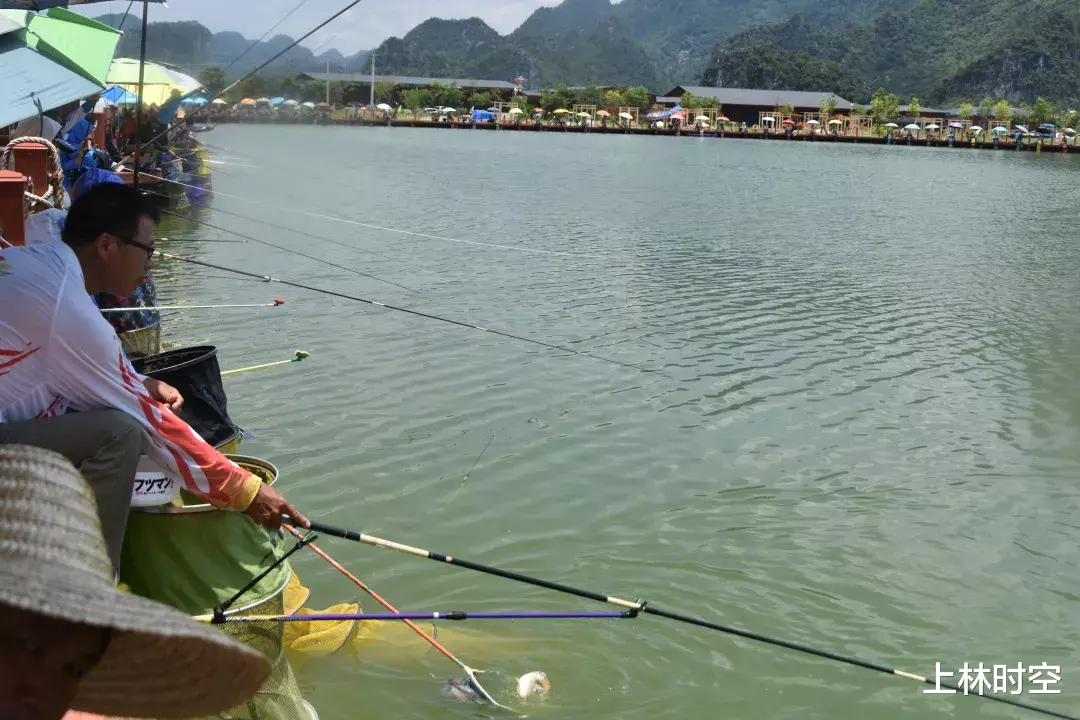 上林|过瘾!200名垂钓高手集聚上林!究竟谁才是大师?