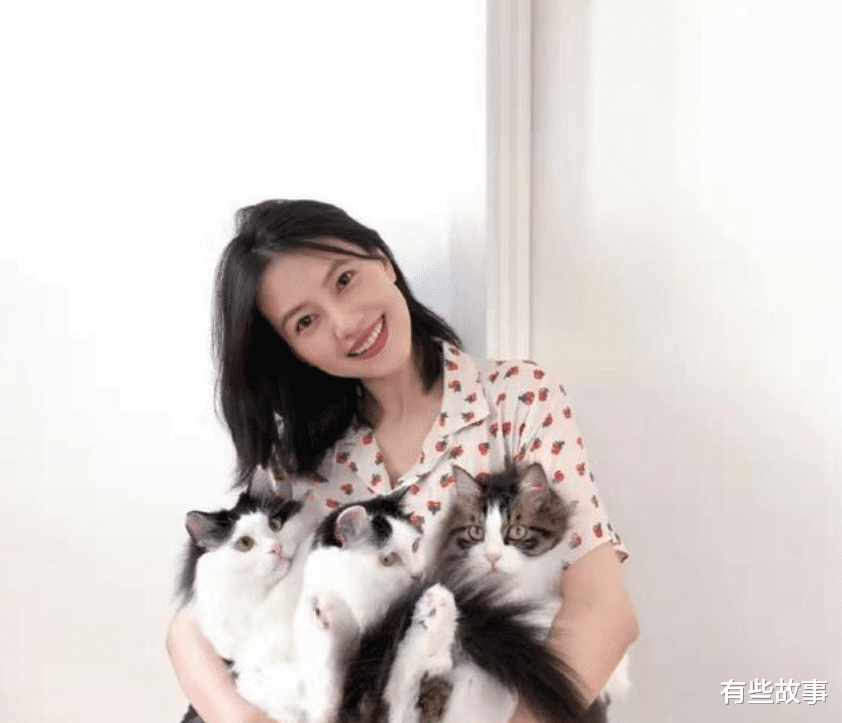 高圆圆|他和瞿颖同居11年，被高圆圆倒追5年，今头发花白依旧单身