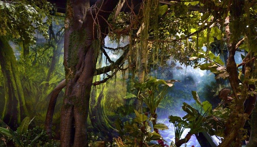 眼镜王蛇|“过山峰”在我国主要分布在哪些地方?