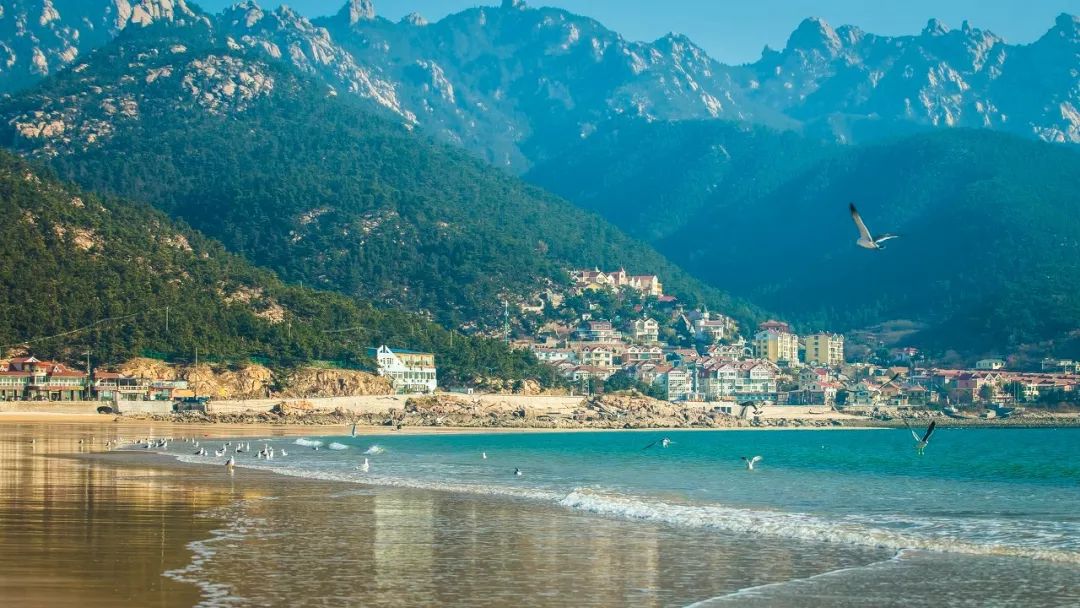 「甘南」是时候去青岛啦!