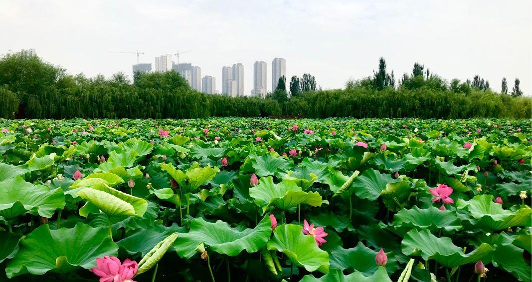 @为何夏季经常跑鱼？因为你还在用春季的钓鱼方式，跑鱼很正常！