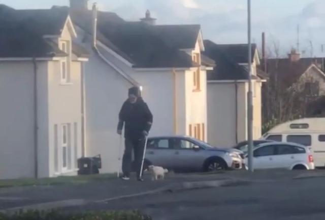 老友摔伤需要复健，橘猫紧紧跟随陪伴，超暖心！