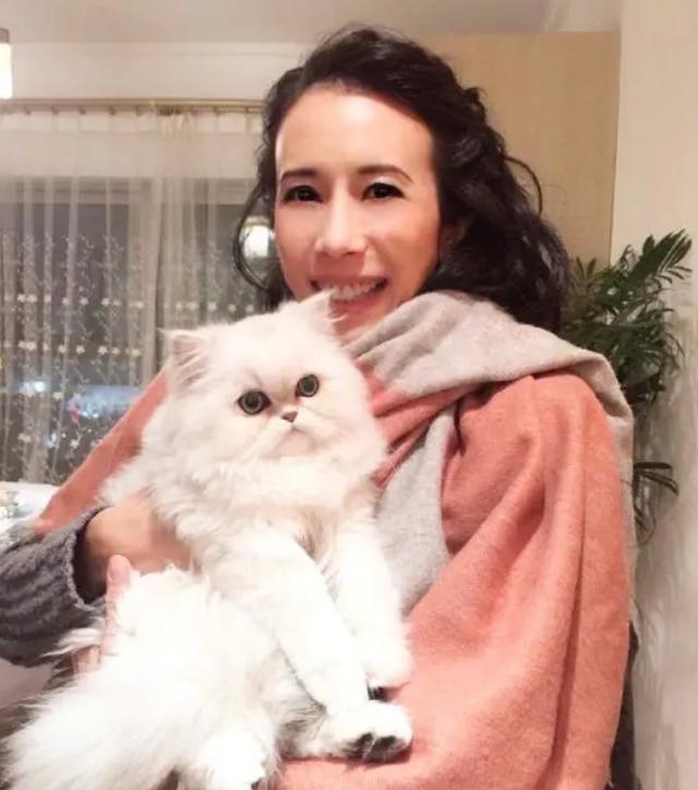 |参观莫文蔚现实中的家,嫁到欧洲后入乡随俗,全屋是古典欧式装修