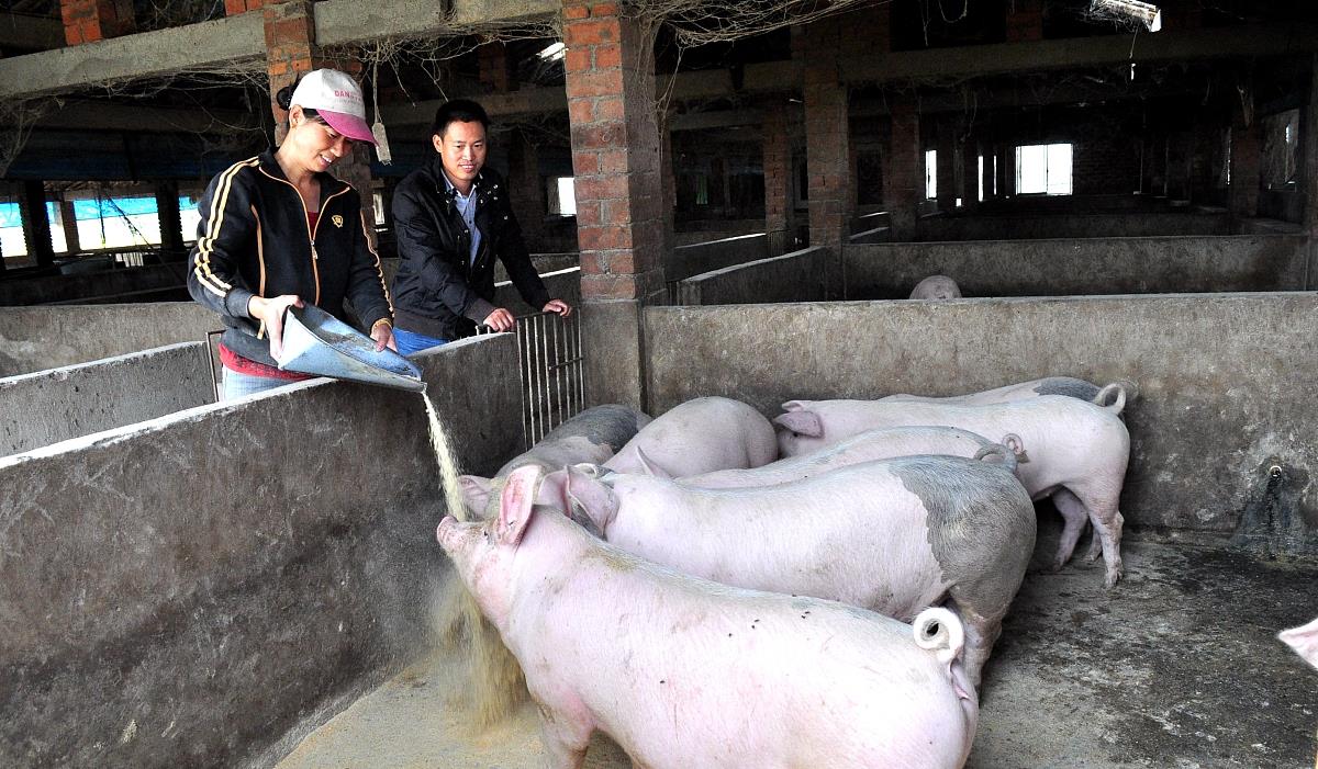 加拿大▲知错就改！20万吨产品销往中国，加拿大经济回暖，称：感谢中国