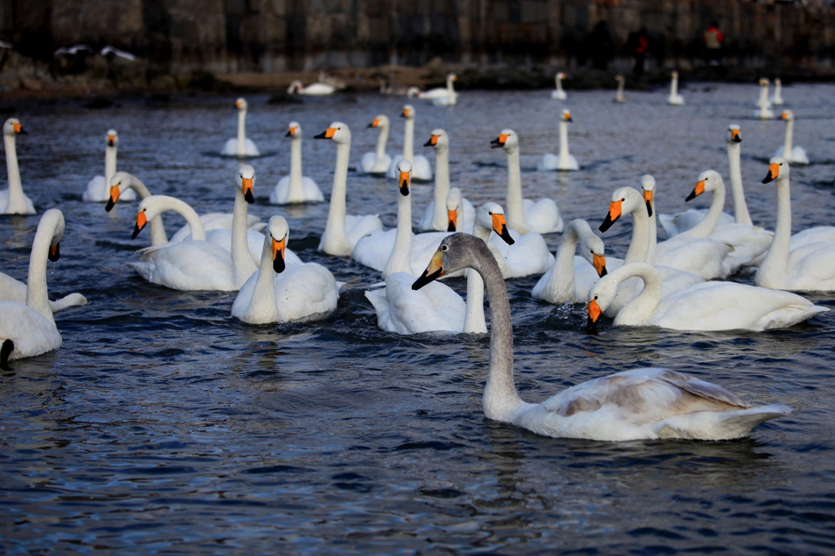 退休▲中国最适合养老的5个城市，宁静怡人，花销不多，退休后就搬过去