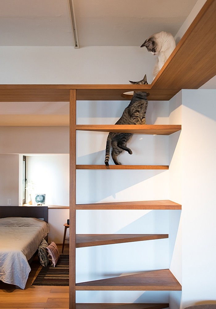 「」一人两猫日式家居，金领宅男的低调生活，超50万IG网友点赞