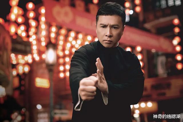 [咏春拳]1994年，甄子丹、杨紫琼拍了一部功夫经典，却只上映8天票房惨淡