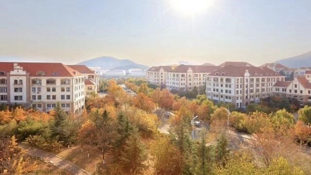 高校|2020年一本录取结束，这4所985高校分数下滑严重，明年可以报考