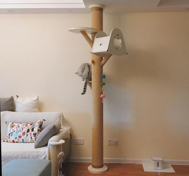 『』北欧风新房装修完工,客厅搭配最让人满意,预算不高效果却很满意