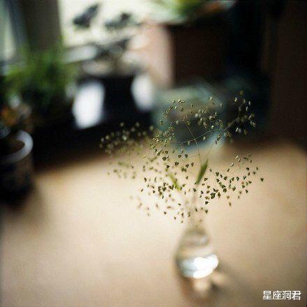 「星座女」自身气质极佳，最让人念念不忘的星座女