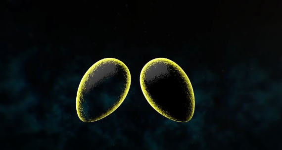 金字塔|梵蒂冈与共济会之间的秘密，他们到底在计划什么？松果体是否就是天眼