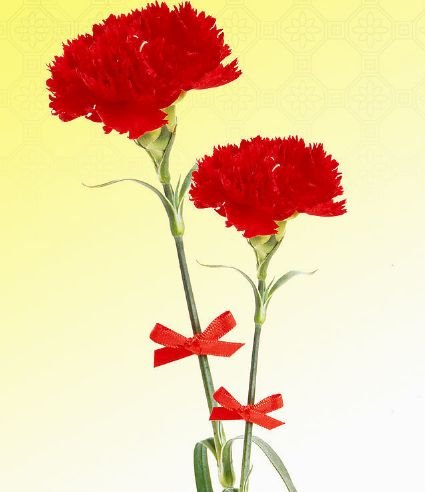 生肖|明天开始，4属相喜事临门，桃花朵朵开，财富越来越多，日子美满