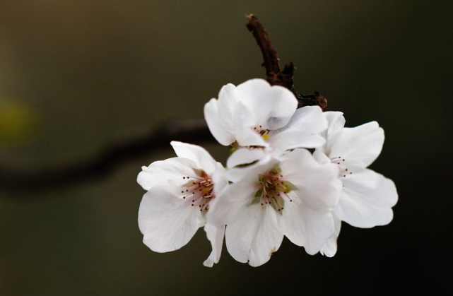 运势|在9月22号到来钱财大涨，运势大好，健康如意的三生肖
