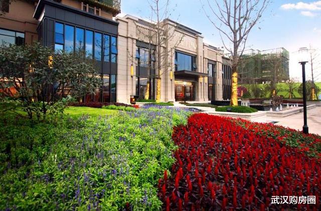 武汉这个片区百亿项目落地，配套设施发展迅速，房价很有意思