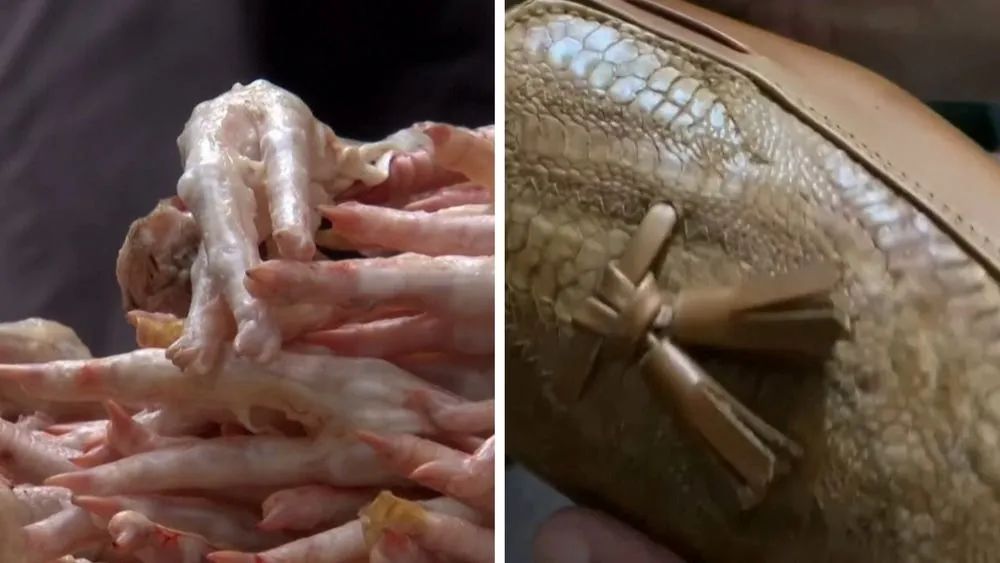 [正义联盟]侃爷新专辑情报/死亡之吻复刻/《正义联盟》导演剪辑版确定发行...