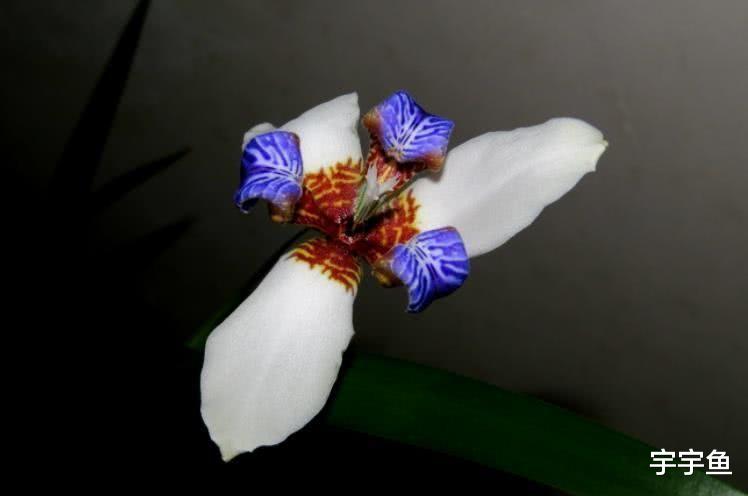 运势|9月开始钱财大赚，贵人登门，闷头数钞票的四大属相