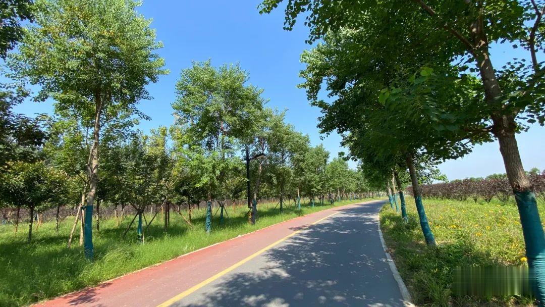 开封网|开封到黄河又多一捷径！快去骑行打卡啦！