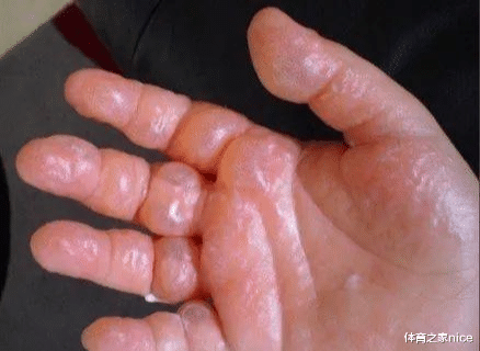 美国|中美联合调查“来自中国的神秘种子”，有人已经种出了番茄和瓜？