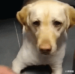 |做过最轻松的工作是什么？要不是每月都发工资，我真怀疑自己过来玩的，哈哈哈