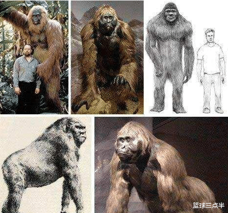 邓氏鱼：虽不能将其复活，但可以将它复原！看看这十大史前生物有多可怕