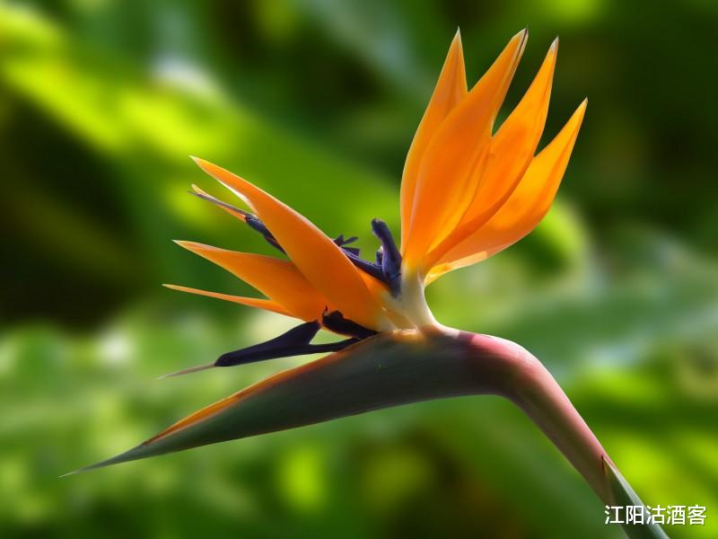 【运势】最近七天，财命尽显的3生肖贵人相助，事业一帆风顺