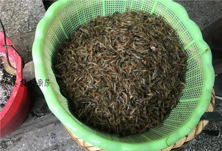 『香椿』中国美食“最原始”城市，外地人去菜市场几乎崩溃：一个都不认识